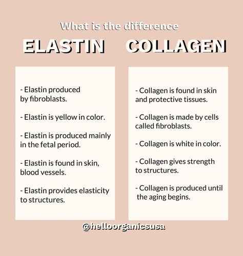 Hello Organics Skin Care on Instagram: “Both collagen and elastin play a decisive role in the overall health of the skin.🌟 Ultraviolet radiaton can damage collagen and elastin…” Elastin And Collagen, Overall Health, Organic Skin, The Skin, Organic Skin Care, Diy Beauty, Ultra Violet, Skin Care, Science