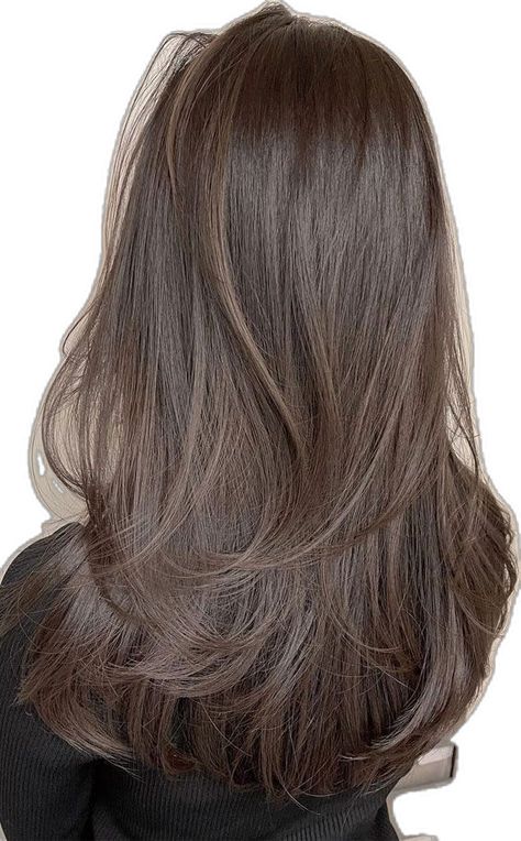 Layer Panjang, Brown Layered Hair, Brunette Hair Cuts, Winter Hair Color Ideas, Korean Winter, Brown Hair Looks, Hair Inspiration Long, Layered Haircuts For Medium Hair, Brown Hair Inspo