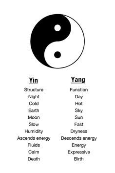 Yin And Yang Tattoos, Yin Yang Tattoo Meaning, Iphone Background Inspiration, Japanese Tattoo Words, Yin En Yang, Spinal Tattoo, Ying Yang Tattoo, Earth Tattoo, Scorpio Rising