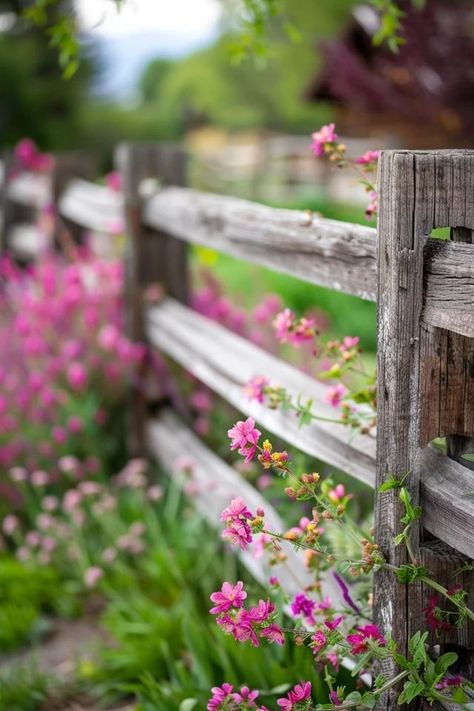 Charming Rustic Split Rail Fence Landscaping Ideas Decorative Split Rail Fence Ideas, Two Rail Fence, Split Rail Fence With Gate, Back Fence Landscaping Ideas, Split Rail Fence Landscaping, Country Yard Landscaping, Natural Fence Ideas, Rustic Fence Ideas, Country Landscaping Ideas