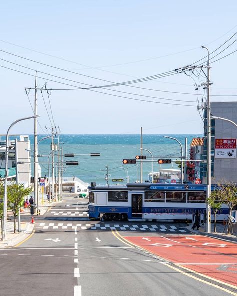 Haeundae Blue Line Park, Summer In Korea Aesthetic, Summer In South Korea, Busan South Korea Wallpaper, Korean Landscape Aesthetic, Korea Summer Aesthetic, Busan Landscape, South Korea Beach, Busan Wallpaper