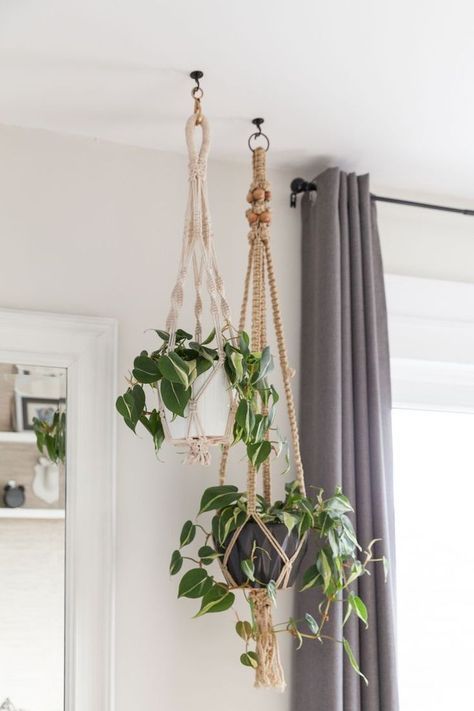 Pot Gantung, Tanaman Indoor, Plants Hanging, Brighter Bedroom, نباتات منزلية, Hemma Diy, Hanging Plants Indoor, Bedroom Plants, Plant Decor Indoor