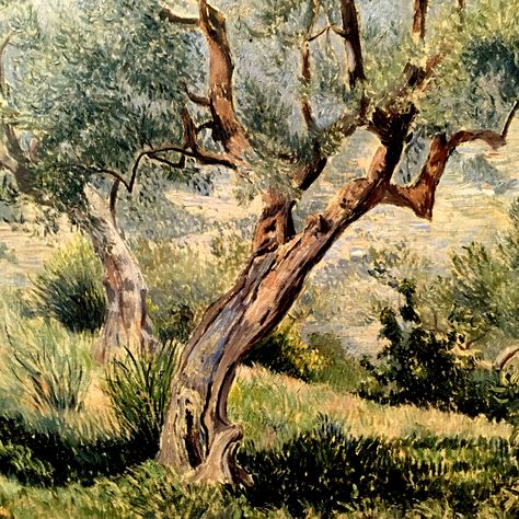 Olive Trees Painting, Olive Oil Painting, Olive Tree Watercolor, Olive Tree Art, Olive Trees Landscape, Olive Tree Painting, Wales Cardiff, Petroglyphs Art, Poster Color Painting