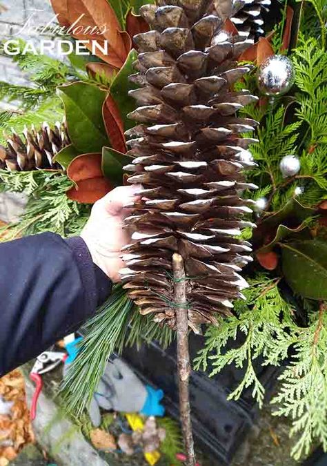 Giant Pine Cone Crafts, Giant Pine Cones, Porch Garland, Pine Cone Christmas Decorations, Large Pine Cones, Pinecone Crafts Christmas, Cone Flowers, Pine Cone Christmas Tree, Winter Planter