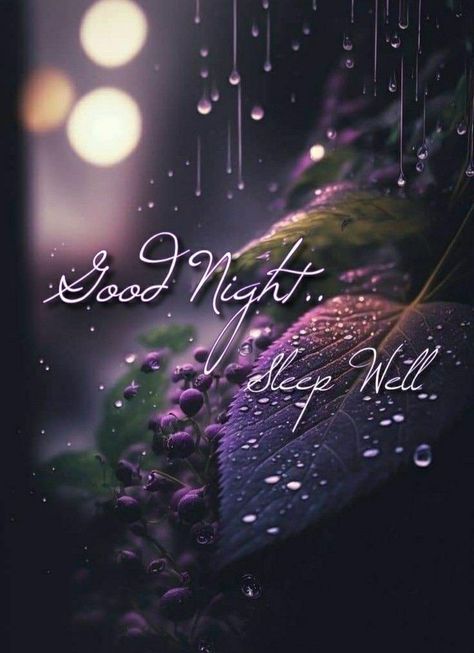 Good Night Sleep Well, Good Night Love Pictures, Good Night Friends Images, Good Night Cat, Beautiful Good Night Quotes, Good Night Beautiful, Good Night Love Messages, Good Night Images, Beautiful Good Night Images