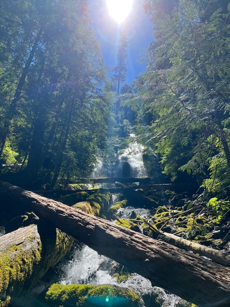 #hike #waterfall #tree #oregon #oregonexplored #aesthetic #green #proxy #falls #nature #naturephotography #naturelovers #centraloregon Pnw Hiking Aesthetic, Oregon Waterfalls Road Trip, Oregon House Aesthetic, Portland Oregon Aesthetic, Waterfall Oregon, Oregon Town, Oregon Aesthetic, Oregon Summer, Oregon Nature