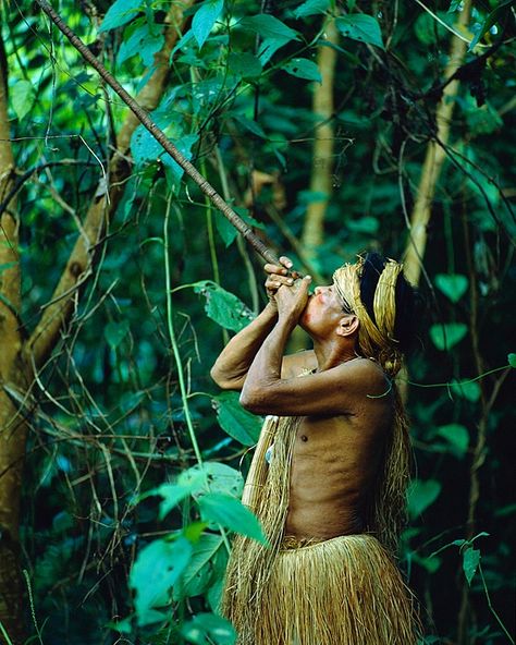 Yagua indian with a blowgun, Amazon jungle, near Iquitos, Peru Amazon Jungle Photography, Indian Jungle, Peru Amazon, Iquitos Peru, Waste Land, Travel Overseas, 40 Caliber, Travel Peru, Amazon Jungle