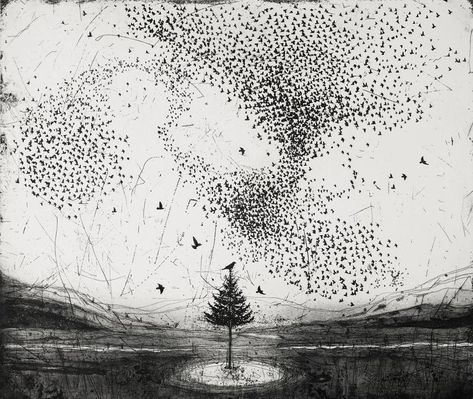 Starling Murmuration, Feeding Birds In Winter, Murmuration Art, Colossal Art, Royal Academy Of Arts, Art Historian, Starling, Land Art, Contemporary Artists