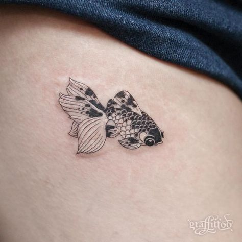 Fernweh Tattoo, Coy Fish Tattoos, Goldfish Tattoo, Korea Tattoo, Tato Ikan Koi, Tattoo Wallpaper, Wanderlust Tattoo, Koi Tattoo, Koi Fish Tattoo