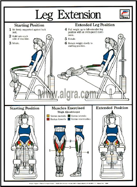 Leg Extensions Workout Machine, Leg Extensions Machine, Legs Extensions, Leg Extension Machine, Leg Extensions Workout, Thursday Workout, Knock Knees, Gym Plan, Leg Extension