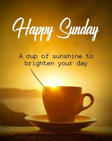 Beautiful Sunday Quotes Inspirational, Happy Sunday Pictures, Sunday Morning Images, Blessed Sunday Quotes, Happy Sunday Images, Sunday Morning Coffee, Good Morning Sunday Images, Sunday Morning Quotes, Happy Sunday Morning