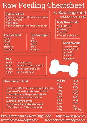 Dog Raw Diet, Raw Feeding For Dogs, Best Dry Dog Food, Raw Dog Food Diet, Socializing Dogs, Raw Dog Food, Dog Tricks, Food Dog, Raw Dog Food Recipes