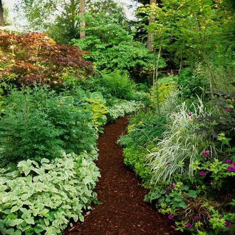 Shade Garden - a path mulched with dark wood chips becomes a stunning focal point when surrounded by white-variegated bishop's weed, ornamental grasses, or golden groundcovers Shade Garden Design, Lots Of Plants, Smart Garden, Garden Shrubs, Wood Chips, Woodland Garden, Garden Pathway, Plants And Flowers, Garden Features