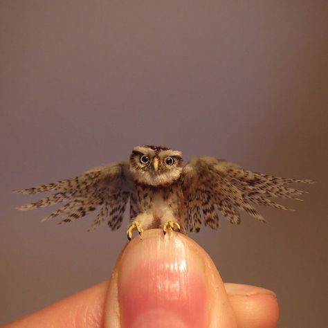 Tiny-Dollhouse-Animals-Miniatures-Fanni-Sandor Mini Animals, World Birds, Strongest Glue, Miniature Animals, Miniature Crafts, Etsy Instagram, Mini Things, Needle Felted Animals, Dollhouse Accessories