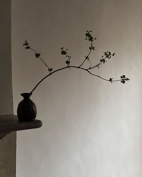 Wabi Sabi Plants, Moody Interior Design, Colin King, Avatar Images, Japanese Minimalism, Home Still, Mood And Tone, Ceramics Pottery Art, Japanese Flowers