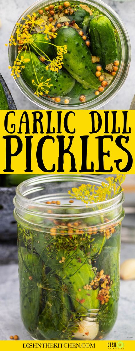 These Garlic Dill Pickles are just like the ones grandma used to make. They’re salty sour and full of pucker power! Homemade pickles are far superior to any store bought pickles and making them yourself is so satisfying. Learn how to make a batch of homemade pickles with this easy guide. How To Make Pickles From Cucumbers Dill, Spicy Garlic Dill Refrigerator Pickles, Garlic Pickles Canning, Spicy Garlic Dill Pickle Recipe, Homemade Pickle Flavors, Homemade Garlic Dill Pickles, Small Batch Pickles Recipes, Dill Pickles With Alum, Cold Brine Dill Pickles