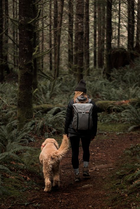 Hiking Photography, Door Entrance, Hiking Dogs, Farmhouse Front, Adventure Aesthetic, Entrance Design, Dog Adventure, Wild Adventures, Adventure Wedding