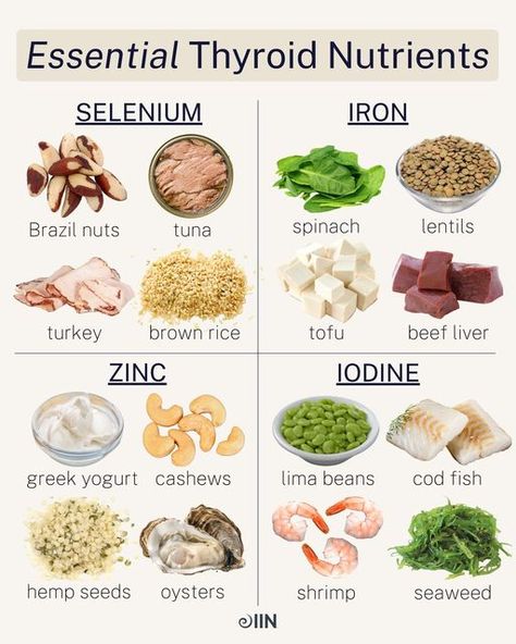 Integrative Nutrition - IIN on Instagram: "The thyroid is a vital hormone gland that regulates many bodily functions — its main job being to control metabolism, aka how the body uses energy.⚡️ When your thyroid isn’t working properly, it can impact your entire body, and thankfully for many, following a nutrient-dense diet is enough to maintain optimal thyroid function. #nutritionschool #thyroid #thyroidhealth #hormonehealth #hormones #womenshealth #nutritiontips #healthyeats" Diet For Hyperthyroid, Thyroid Foods To Eat, Healthy Thyroid Diet, Supplements For Thyroid Health, Thyroid Supplements Vitamins, Thyroid Symptoms Natural Treatments, Thyroid Diet Plan Meals, Under Active Thyroid Diet, Food For Thyroid Health