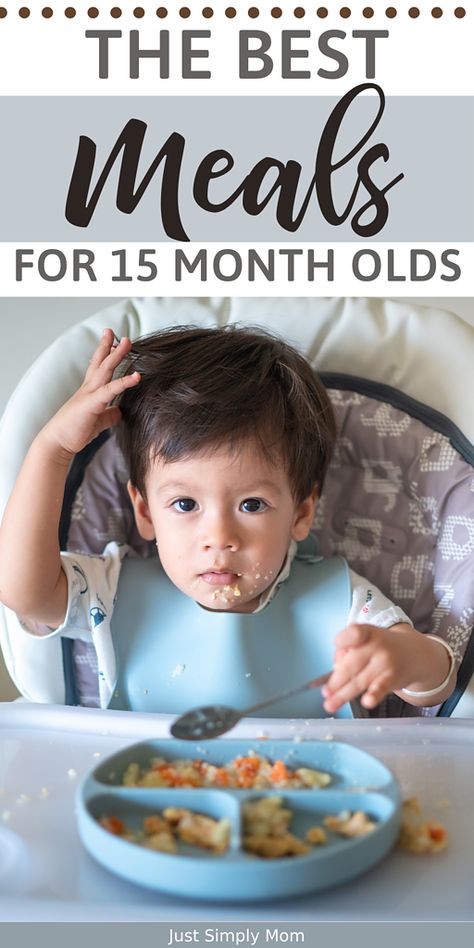 Use our list of the best meals for 15 Month Olds olds to plan breakfasts, lunches, dinners, and snacks that your toddler will love! Meal Plan For 13 Month Old, Meals For 15 Month Old Toddler, Meals For My 12 Month Old, 16 Month Old Meal Ideas, Breakfast For 15 Month Old, Meal Prep For 15 Month Old, Simple Meals For 12 Month Old, Food For 15 Month Old, 15 Month Old Meals Ideas