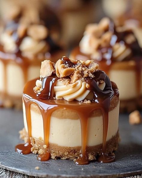 Irresistible Peanut Butter Caramel Mini Cheesecakes Recipe Pecan Praline Mini Cheesecakes, Peanut Butter Entremet, Best Cheesecake Desserts, Peanut Butter Pie Cupcakes, Peanut Butter Dessert Cups, Peanut Butter Swirl Cheesecake, No Bake Chocolate Caramel Cheesecake Bites, Reese Cup Cheesecake, Muffin Pan Cheesecake Recipes