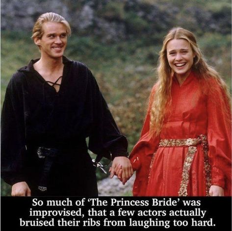 The Princess Bride Edits, The Princess Bride Funny Memes, Princess Bride Fanart, Princess Bride Hair, The Princess Bride Aesthetic, Princess Bride Meme, Princess Bride Aesthetic, Princess Bride Movie Party, Wesley Princess Bride