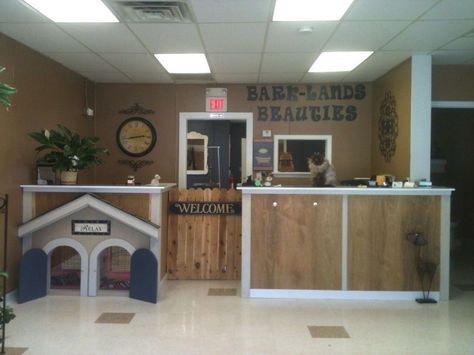 Grooming Salon Ideas, Dog Grooming Salon Ideas, Dog Grooming Salon Decor, Pet Grooming Business, Pet Grooming Salon, Doggie Daycare, Grooming Business, Dog Grooming Shop, Dog Spa