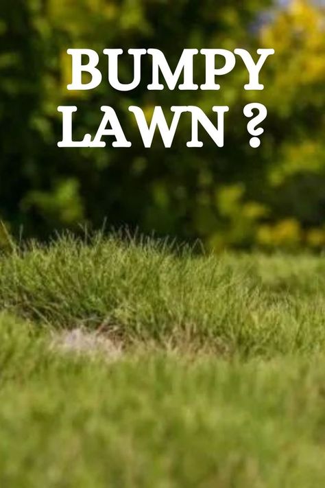 Here is a simple guide for leveling a bumpy lawn without the use of heavy equipment. Also, learn how to fix a lawn with only a few individual low spots. How To Level Yard Diy, Diy Lawn Leveling Tool, Level Lawn Diy, Yard Leveling Diy, How To Level Yard, Leveling Yard, Lawn Care Diy, Fescue Lawn, Lawn Renovation