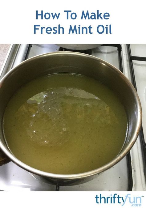 Mint Oil Recipe, Mint Recipes Fresh, Make Salad Dressing, Dehydrating Fruit, Starch Recipes, Salads To Make, Drying Mint Leaves, Peppermint Plants, Cook Fish