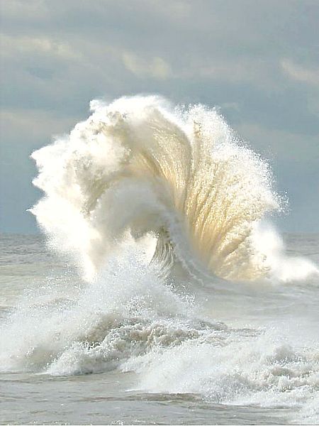 5th and state Ocean Wave, Jolie Photo, Alam Yang Indah, In The Ocean, Ocean Life, Ocean Beach, Ocean Waves, Amazing Nature, Belle Photo