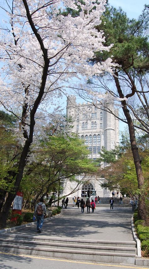 Kyung Hee University - Study Trip!! Korean University Building, Tsinghua University Aesthetic, Seoul National University Wallpaper, Busan University, Studying In Korea, Korea University Campus, Yonsei University Aesthetic, University In Korea, University Background