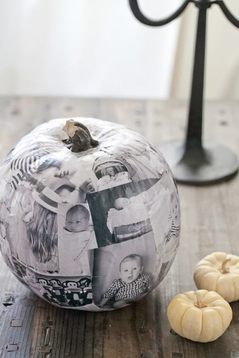 Decoupage Photo Pumpkin - This no-carve pumpkin craft doubles as delightful home decor. Use a faux pumpkin and decoupage glue for this project. Carving Gourds, Easy Pumpkin Decorating, Pumpkin Patch Birthday, Decoupage Pumpkins, Pumpkin Patch Party, Labu Halloween, Hallowen Ideas, Pumpkin Birthday, Faux Pumpkins