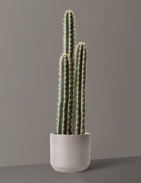 Our Faux Floor Cactus Will Bring The Desert’S Warm And Calming Energy Into Your Home. No Need To Worry About Providing Direct Light Or Arid Conditions—This Artificial Beauty Can Be A Showstopper In Any Room. Pair With A Planter For A Finished Look. Pair With Our Upcycled Planter Made From Recycled Materials Faux Plant And Planter Ship Separately Overall: 58" H X 14" W Base Only: Top: 11. 5" X Height: 11" X Bottom: 10" Clean With A Soft, Dry Cloth And Keep Out Of Direct Sunlight Buy Houseplants, Faux Cactus Plants, Indoor Floor Plants, Indoor Tree Plants, Indoor Cactus Plants, Upcycled Planter, Southwest Home Decor, Cactus House Plants, Faux Cactus, Large Indoor Plants