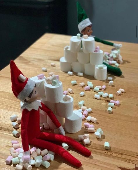 Elf Marshmallow Ideas, Elf On The Shelf Snowball, Marshmallow Ideas, Elf On Shelf, Awesome Elf On The Shelf Ideas, Elf Fun, Elf On The Shelf Ideas, Shelf Ideas, The Elf