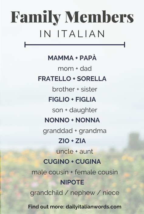 Here is a list of the most important family members in the Italian language! Find out more about the word 'family' at dailyitalianwords.com. #italian #italiano #italianlanguage #italianlessons Italian Last Names Families, Basic Italian Words, Italian Language Learning Basic, Family In Different Languages, Italy Words, Cool Italian Words, Words In Italian, Beautiful Italian Words, Italian Things