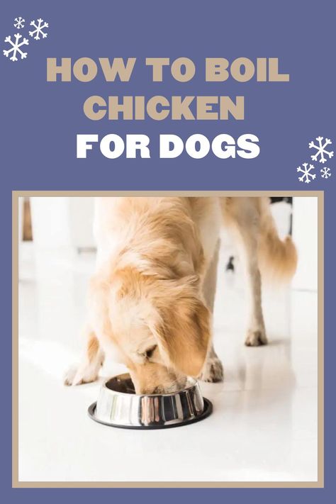 Dogs love chicken, and it’s easy to see why! It’s gentle on the tummy, packed with nutrients, and has an enticing aroma and flavor. But do you know how to serve it right? Find out in our latest article! #dogfood #dogdiet #boiledchicken #boiledchickenfordogs #caninediet #chickenfordogs #dogfoodrecipe Boil Chicken, Braised Chicken Breast, Chicken For Dogs, Boiled Chicken, Roasted Chicken Breast, Dog Diet, Air Fryer Healthy, Dogs Love, Hearty Meals