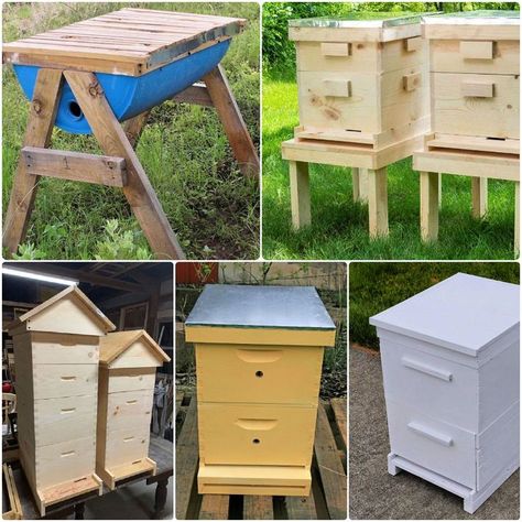 Learn how to build your own beehive with our collection of 25 free DIY beehive plans! We have all the information you need to start your beekeeping journey, with clear and simple step-by-step instructions that will make building your own bee box a breeze. From Langstroth hive plans to top bar honey bee hives, these free bee box plans are perfect for those who are just starting out or those who are simply looking to add a new hive to their apiary. Whether you want to make a homemade beehive or Bee Boxes Diy, Langstroth Hive Plans, Beehive Plans, Stores Aesthetic, Diy Beehive, Honey Bee Box, Top Bar Bee Hive, Bee Hives Diy, Bee Hives Boxes