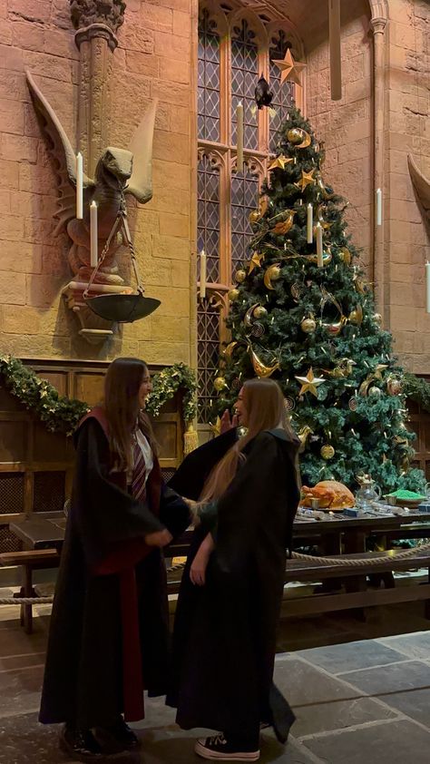 Hogwarts Life Aesthetic, Christmas At Hogwarts Aesthetic, Hogwarts Aesthetic Gryffindor, Dream Personality, Hogwarts Pics, Slytherin And Gryffindor, Hogwarts Friends, Slytherin Room, Fangirl Aesthetic