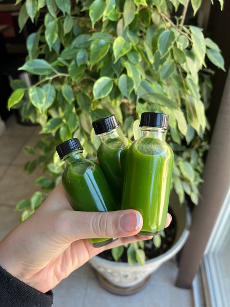 Juice shots green juice for healthy living Juice Shots Aesthetic, Green Juice Shots, Aesthetic Nutrition, Healthy Green Juice, Juice Shot, Juice Shots, Healthy Juicer Recipes, Juicer Recipes, Celery Juice