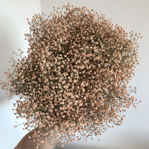 Amalfi Theme, Dried Gypsophila, Dried Florals, Closet Room, Dried Floral, Baby's Breath, Art Fashion, Amalfi, Floral Decor