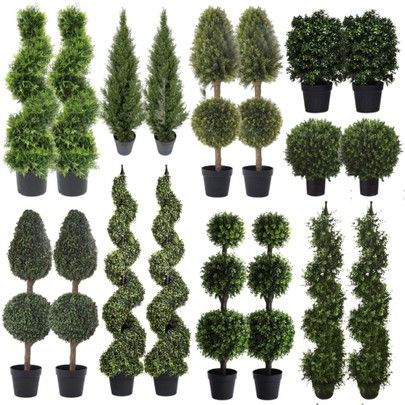 Spiral Boxwood Front Porch, Artificial Topiary Front Door, Spiral Topiary Front Porch, Faux Topiary Front Porch, Topiary Trees Front Door, Boxwood Planters Front Porches, Front Porch Topiary Ideas, Eugenia Topiary, Topiary Boxwood