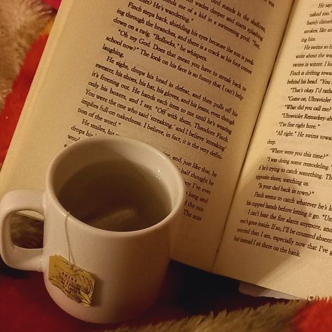 Ap Lang Aesthetic, Book And Tea Aesthetic, Audio Book Aesthetic, Tea And Books Aesthetic, Aesthetic Crocodile, English Novels Books, Book Club Aesthetic, Bed Rotting, Tea And Reading