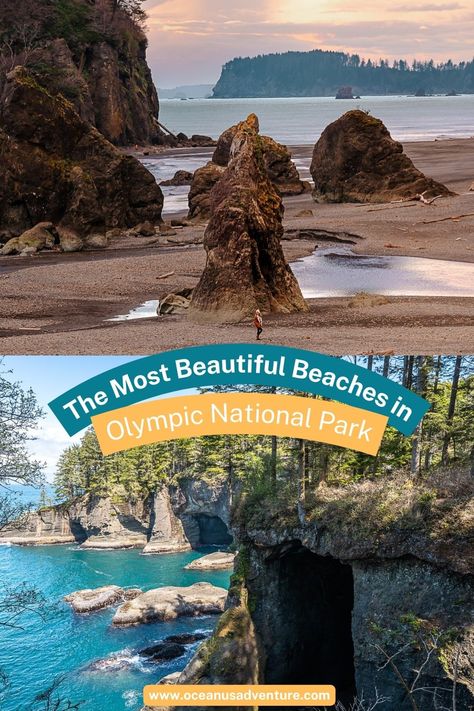 Olympic National Park is home to some of the most beautiful classic and wild PNW beaches. This guide has a list of the best beaches on the Olympic Peninsula!

best beach in Olympic National Park | best beach on the Olympic Peninsula | best Olympic Peninsula beaches Olympic National Park Beaches, Olympia Washington Things To Do, Washington Things To Do, Washington Trip, Olympic National Forest, Olympia Washington, Olympic Park, Pacific Nw, Olympic Peninsula