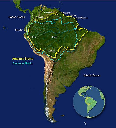 Map Of The Amazon Rainforest Amazon Basin Map, Amazon Rainforest Map, Rainforest Map, Rainforest Deforestation, Rainforest Biome, Forest Map, South America Map, Amazon Jungle, Amazon Forest