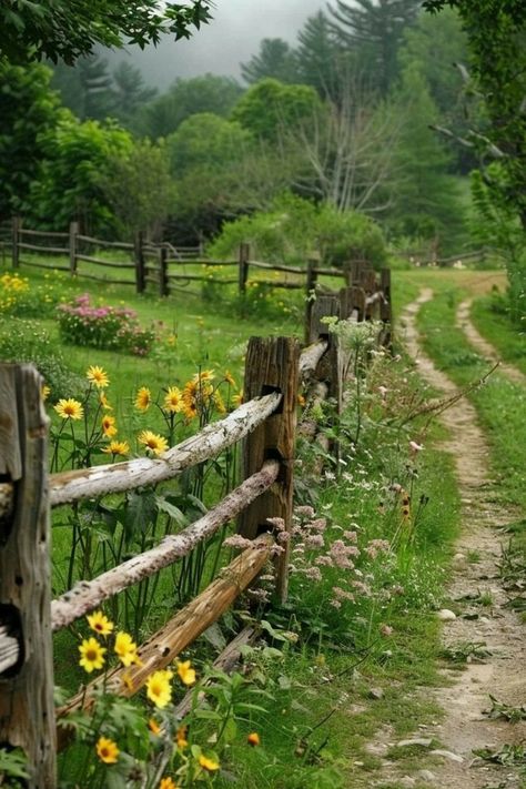 Creative Fence, Screen Videos, Outdoor Scenery, Garden Fences, Country Landscaping, Country Scenes, Fence Ideas, Rural Landscape, Rose Cottage