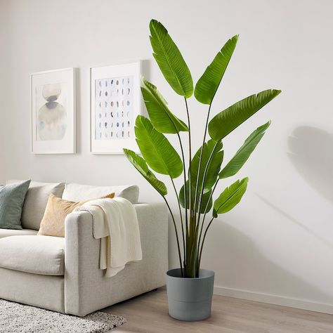 Ikea Artificial Plants, Wall Plants, Dead Leaves, Ikea Food, Artificial Potted Plants, Global Home, Floor Plants, Organization Furniture, Better Things