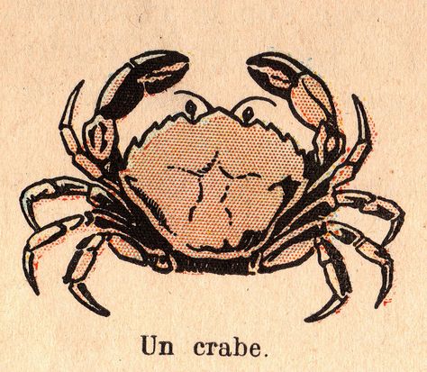 crabe by pilllpat (agence eureka), via Flickr Cars Mural, Crab Illustration, Le Tattoo, Crab Tattoo, Crab Art, Crab Print, Fish Illustration, Sea Monsters, Retro Prints