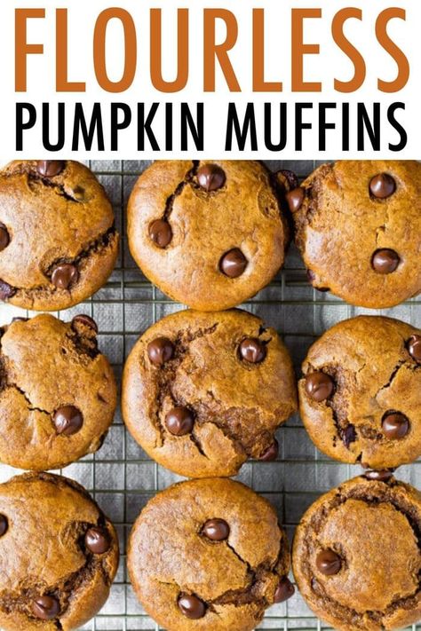 Flourless pumpkin muffins made with almond butter, chocolate chips and pumpkin. No flour, no oil and no dairy. 9 grams of protein in each muffin! #eatingbirdfood #muffin #pumpkin #flourless #chocolatechip #pumpkinspice #breakfast #snack #mealprep Flourless Pumpkin Chocolate Chip Muffins, Healthy Flourless Pumpkin Muffins, No Flour Pumpkin Muffins, Coconut Flour Pumpkin Muffins, Flourless Pumpkin Muffins, Protein Pumpkin Muffins, Muffin Pumpkin, Almond Flour Pumpkin Muffins, Pumpkin Apple Muffins