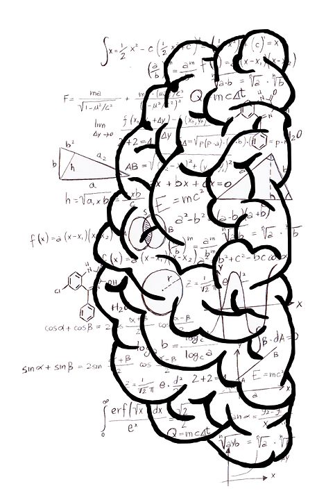 Brain Mind Psychology - Free image on Pixabay Mind Psychology, Human Brain Anatomy, Project Cover Page, Math Design, Psychology Notes, Wallpaper Notebook, Brain Art, Math Tutorials, Brain Dump