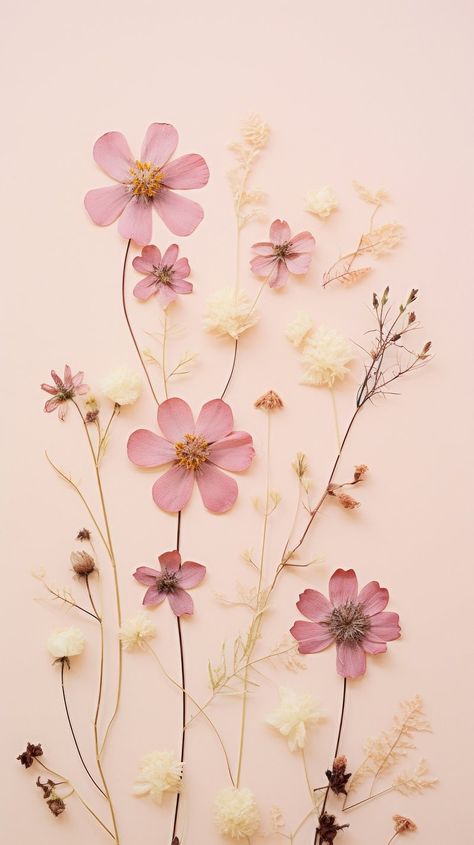 Pressed Diascia flower blossom petal. | Premium Photo - rawpixel Iphone Flower Wallpaper Aesthetic, Phone Backgrounds Flowers, Diascia Flower, Pink Floral Wallpaper Iphone, Cute Ipad Wallpaper Pink, Wallpaper Flowers Iphone, Aesthetic Iphone Wallpaper Pastel, Aesthetic Floral Wallpaper, Iphone Wallpaper Flowers