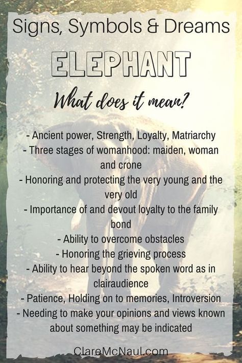 Symbols And Meanings Spiritual, Elephant Tattoos Men, Elephant Tattoos Small, Elephant Tattoos Thigh, Elephant Tattoos With Flowers, Elephant Tattoos Meaning, Elephant Spirit Animal, Tattoos Mother Daughter, Elephant Meaning